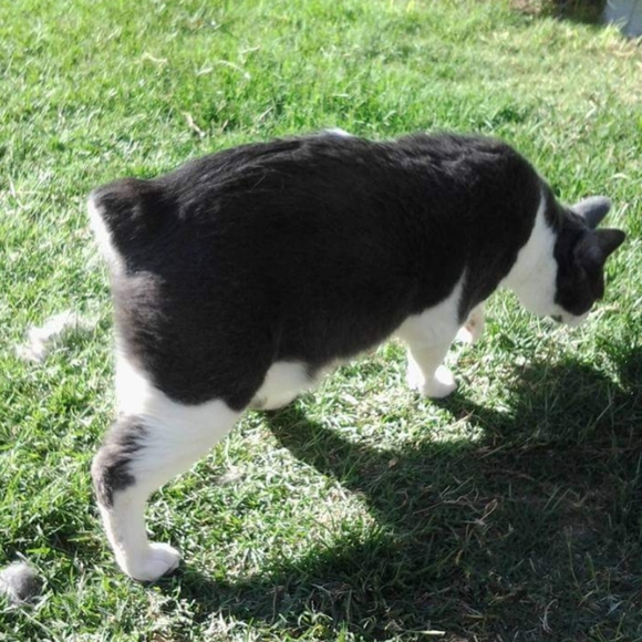 MTP - Picture 4 of 5